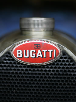 Bugatti Type 35 Grand Prix car, badge and grille