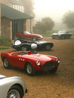 A collection of beauties