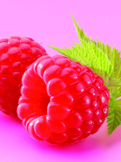 Fresh raspberries
